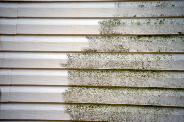 Trusted Indianapolis, IN Junk Removal Experts