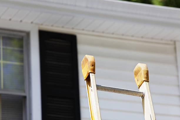 Best Carpet Removal and Disposal  in Dianapolis, IN