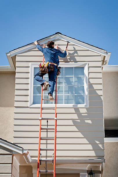 Best Shed Removal  in Dianapolis, IN
